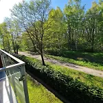 Seaside Forest - Polanki