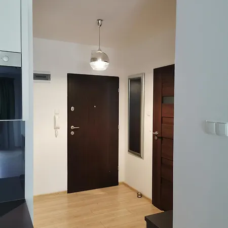 Seaside Forest - Polanki