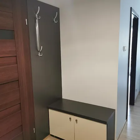 Seaside Forest - Polanki コウォブジェク