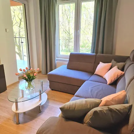 Seaside Forest - Polanki コウォブジェク