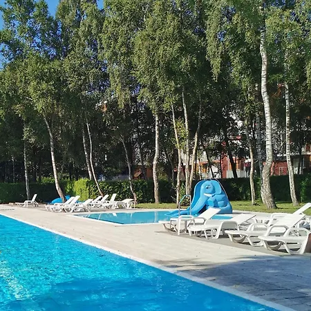 Seaside Forest - Polanki