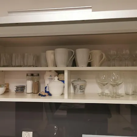 Seaside Forest - Polanki * コウォブジェク