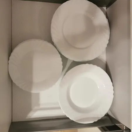 Seaside Forest - Polanki