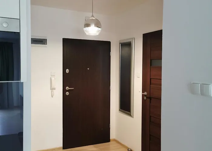 Seaside Forest - Polanki