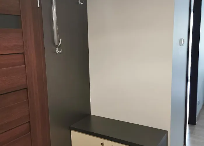 Seaside Forest - Polanki コウォブジェク