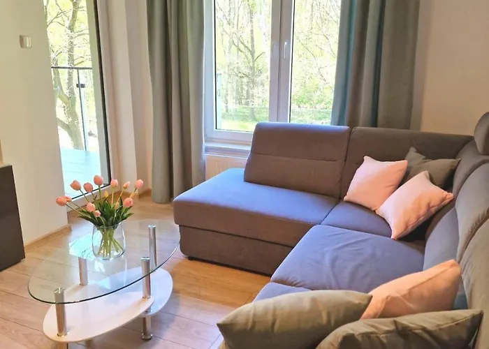 Seaside Forest - Polanki コウォブジェク