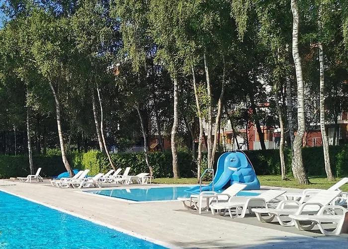 Seaside Forest - Polanki