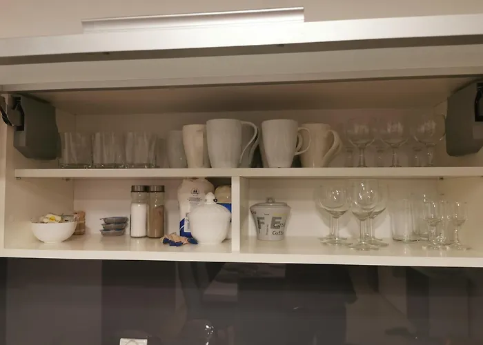 Seaside Forest - Polanki * コウォブジェク