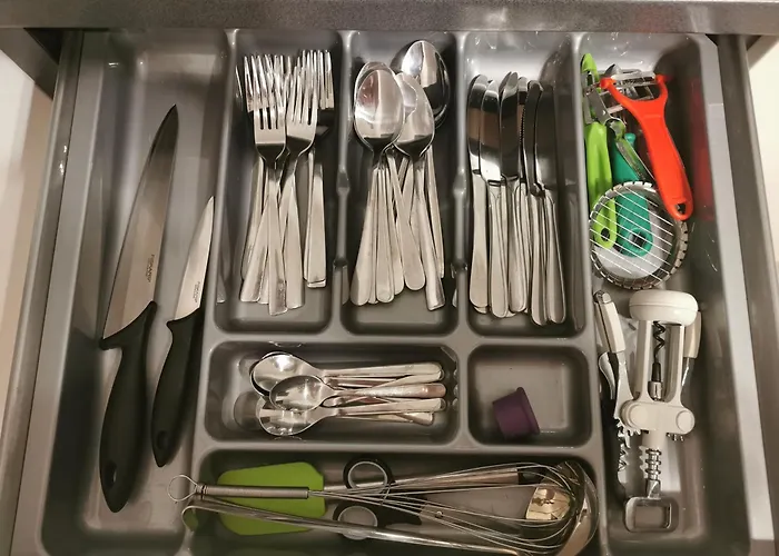 Seaside Forest - Polanki コウォブジェク