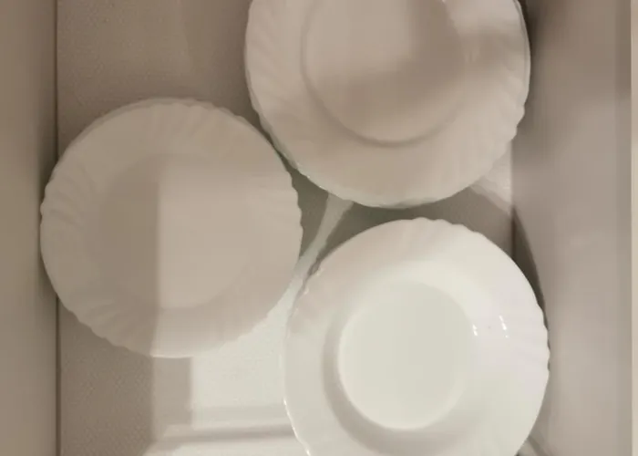 Seaside Forest - Polanki