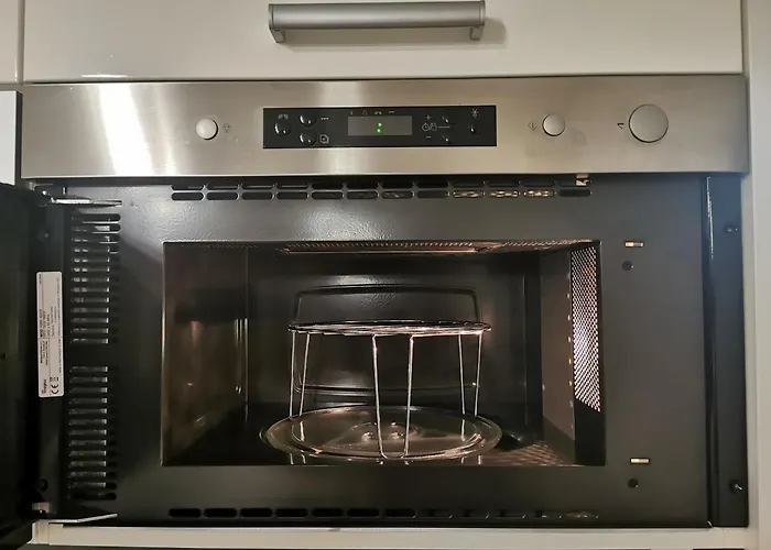 Seaside Forest - Polanki *